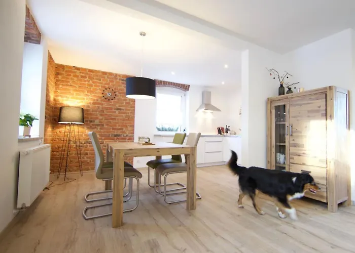 Helle Und Moderne Mit Terrasse By Interhome شقة Crostau